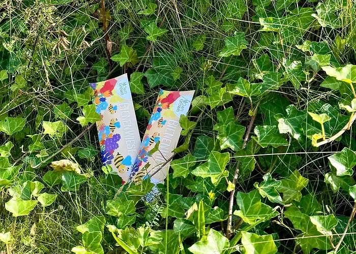 Сasa de vacaciones Pier 76